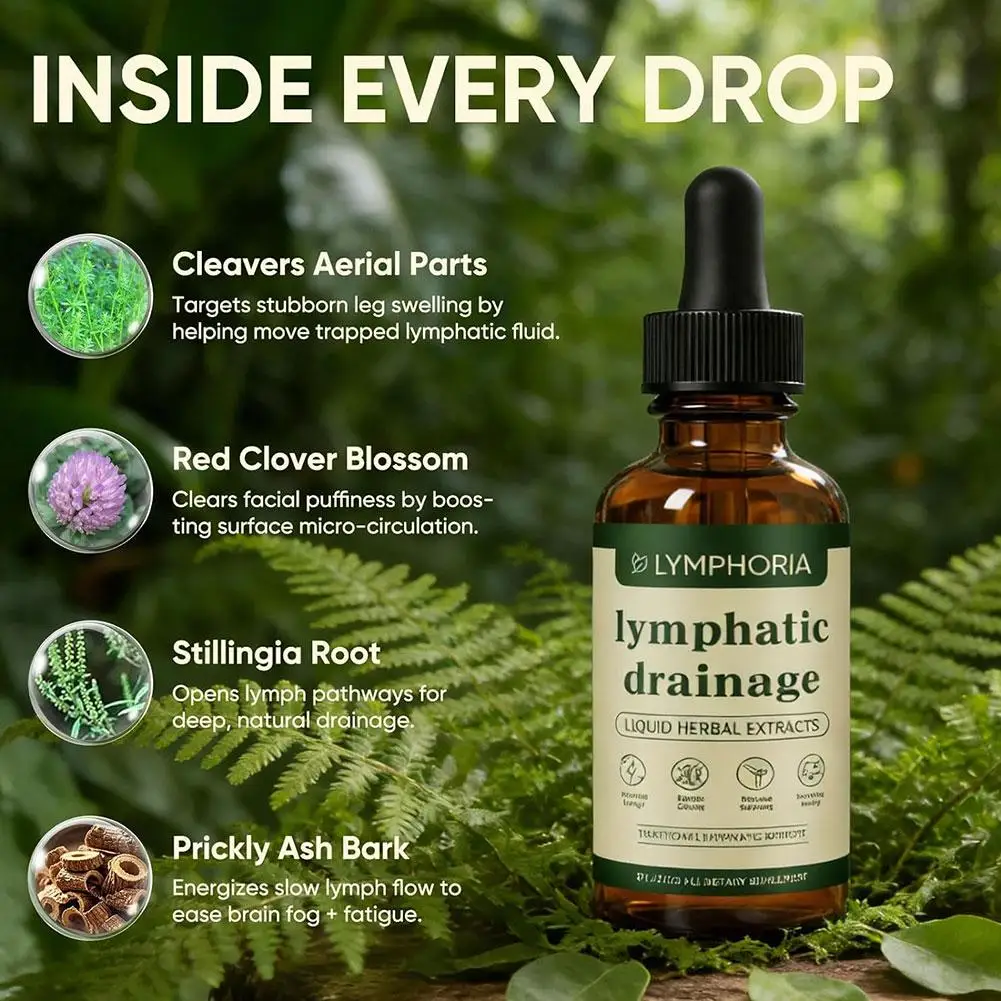 Lymphatic Drainage Support Liquid Drops – Natural Herbal Wellness Supplement - Image 4